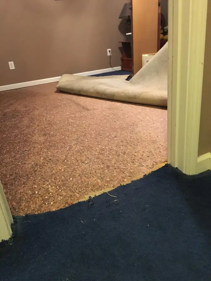 Carpet pad removal revealing water damage during Drying & Dehumidification in Springfield
